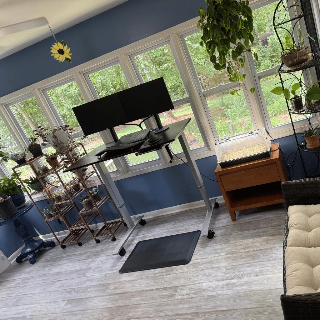 Clean sunroom home office with plants